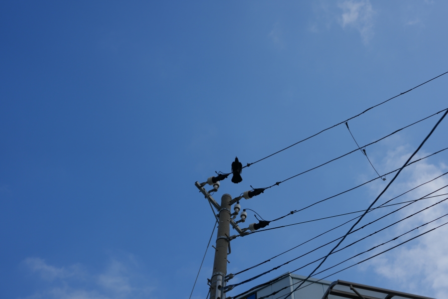 SONY α1 II + FE 24-50mm F2.8 G