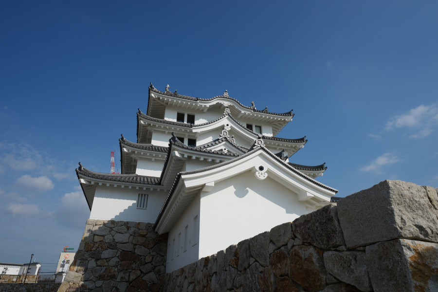 SONY α1 II + FE 12-24mm F4 G