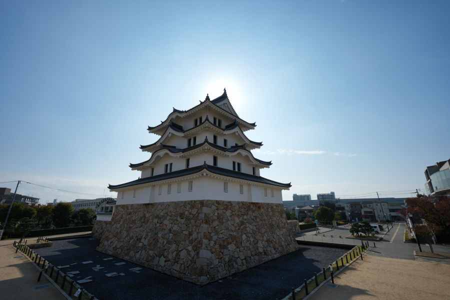 SONY α1 II + FE 12-24mm F4 G