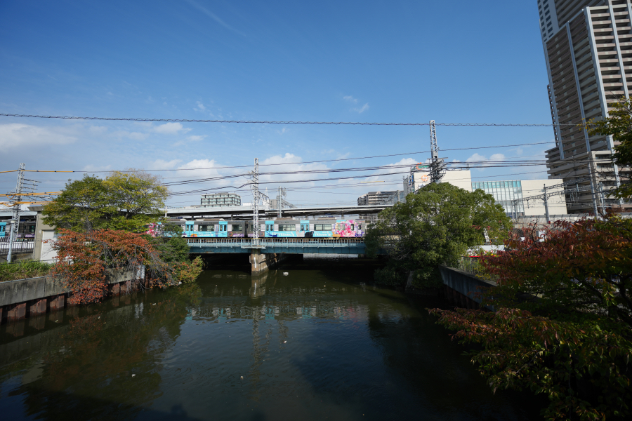 SONY α1 II + FE 12-24mm F4 G