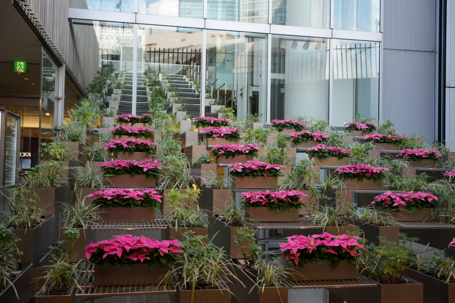 SONY α1 II + TAMRON 25-200mm F/2.8-5.6 Di III VXD