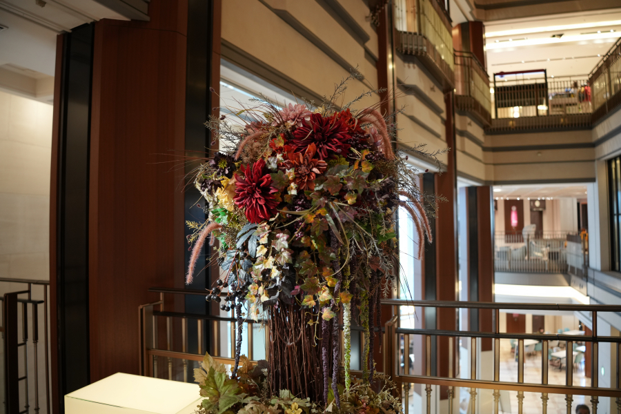 SONY α1 II + TAMRON 25-200mm F/2.8-5.6 Di III VXD