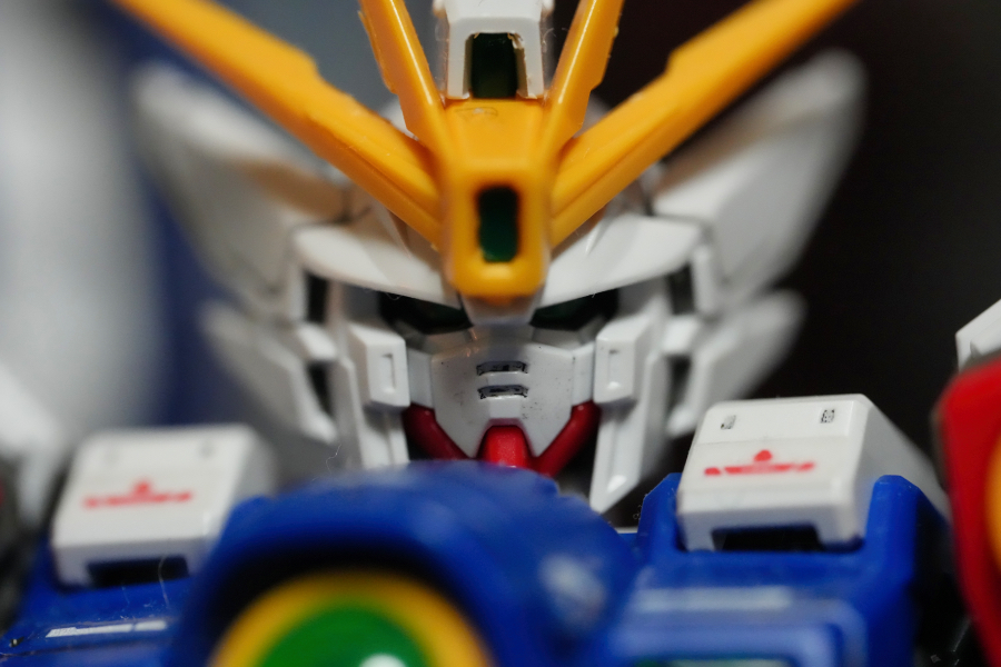 SONY α1 II + FE 100mm F2.8 Macro GM OSS