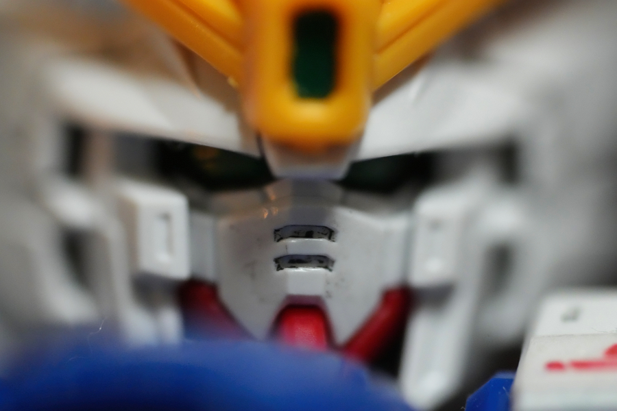 SONY α1 II + FE 100mm F2.8 Macro GM OSS