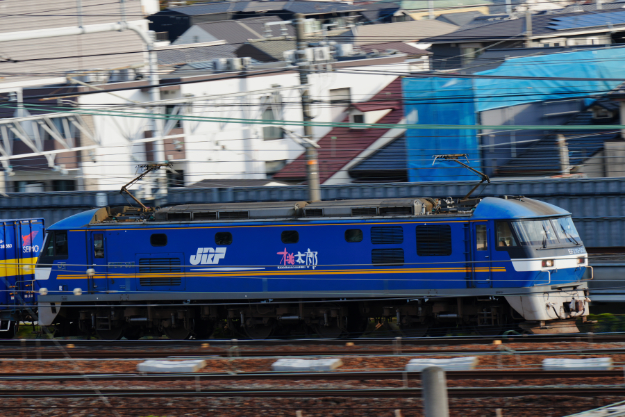 SONY α7CR + TAMRON 28-200mm F/2.8-5.6 Di III RXD