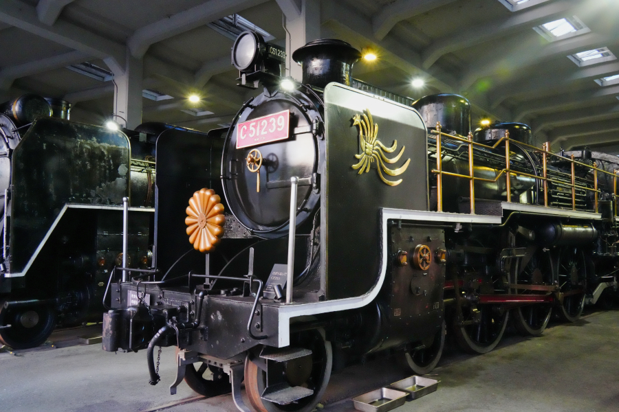 SONY α7CR + TAMRON 28-200mm F/2.8-5.6 Di III RXD