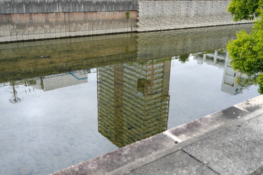 SONY α7CR + FE 24-50mm F2.8 G