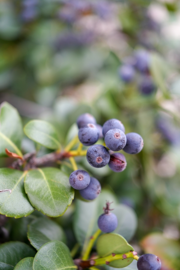 SONY α7CR + FE 24-50mm F2.8 G