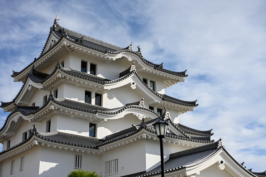 Nikon Z50II + NIKKOR Z DX MC 35mm f/1.7