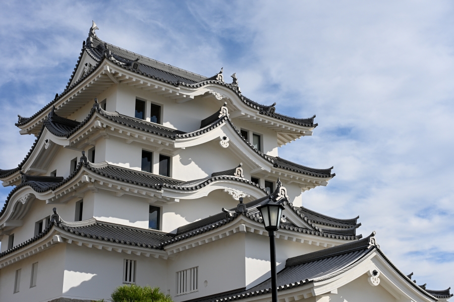 Nikon Z50II + NIKKOR Z DX MC 35mm f/1.7