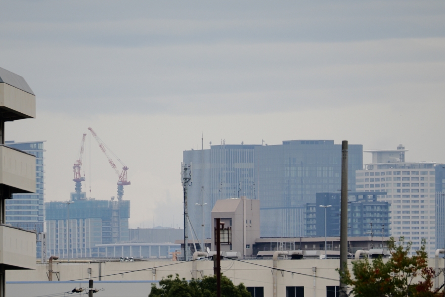 OM SYSTEM OM-3 + M.ZUIKO DIGITAL ED 75-300mm F4.8-6.7 II