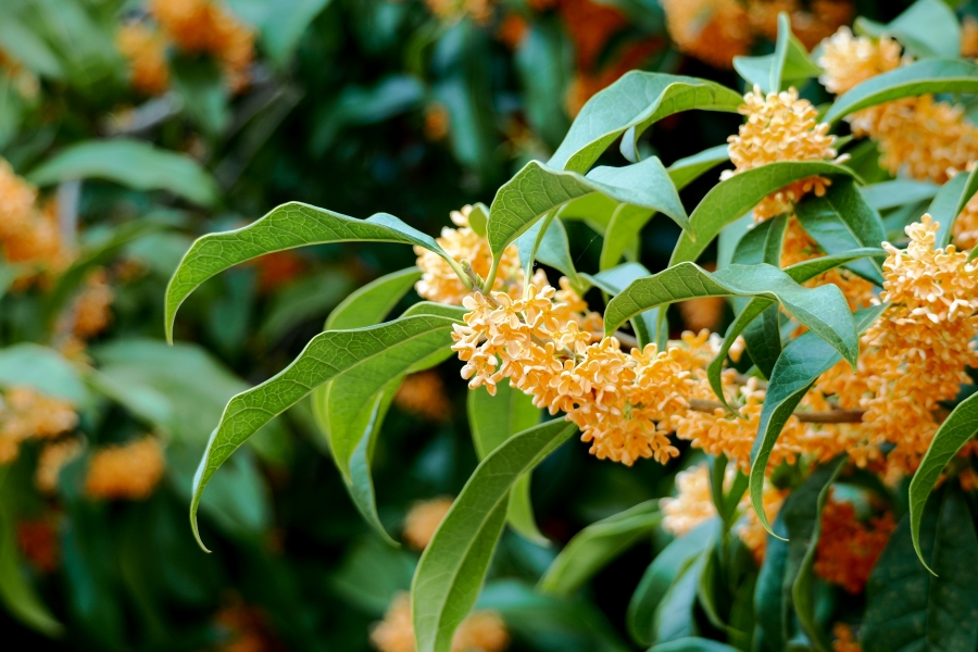 OM SYSTEM OM-3 + M.ZUIKO DIGITAL ED 75-300mm F4.8-6.7 II