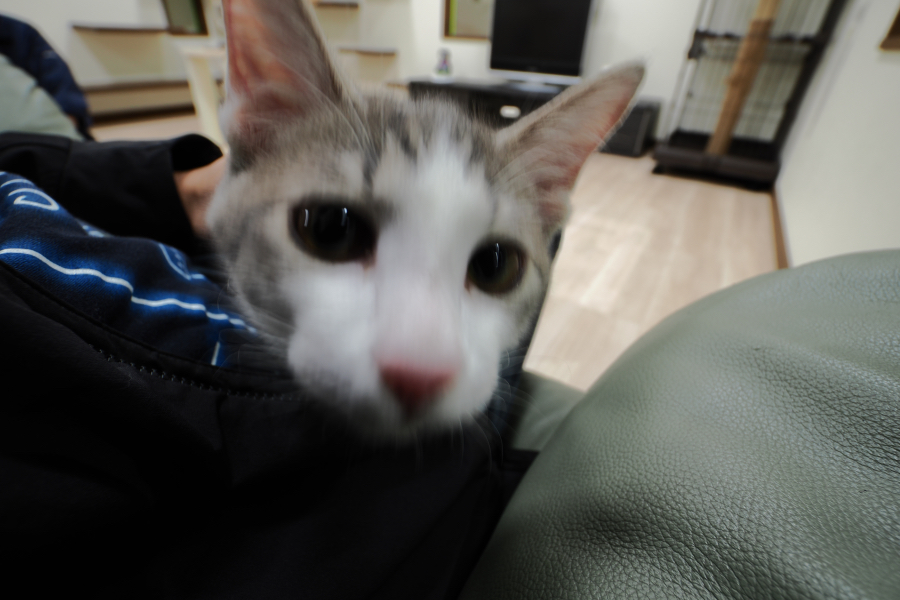 OM SYSTEM OM-3 + M.ZUIKO DIGITAL ED 8-25mm F4.0 PRO