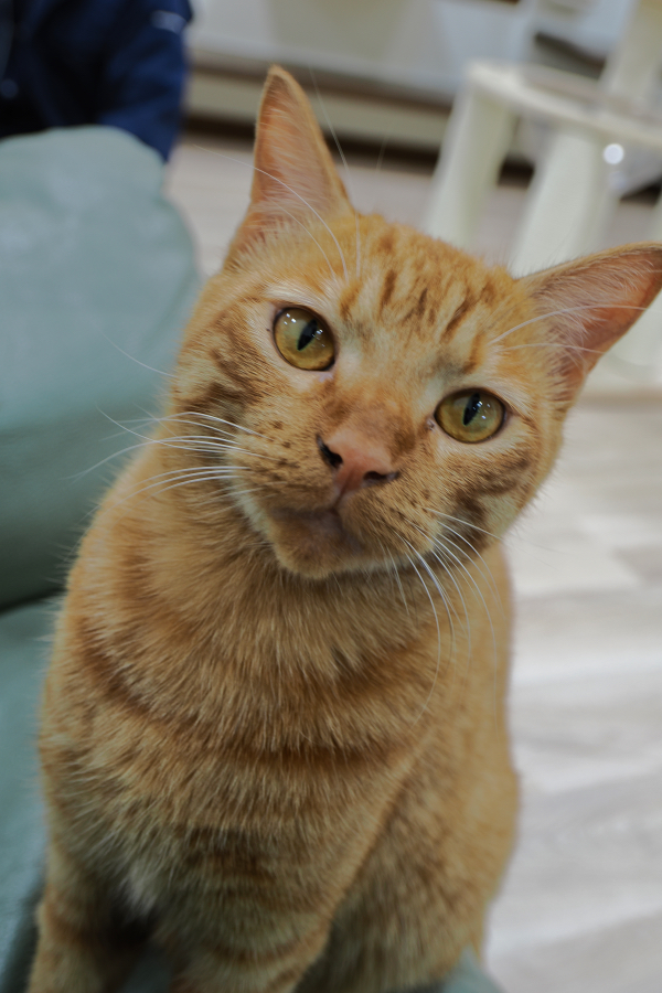 OM SYSTEM OM-3 + M.ZUIKO DIGITAL ED 8-25mm F4.0 PRO