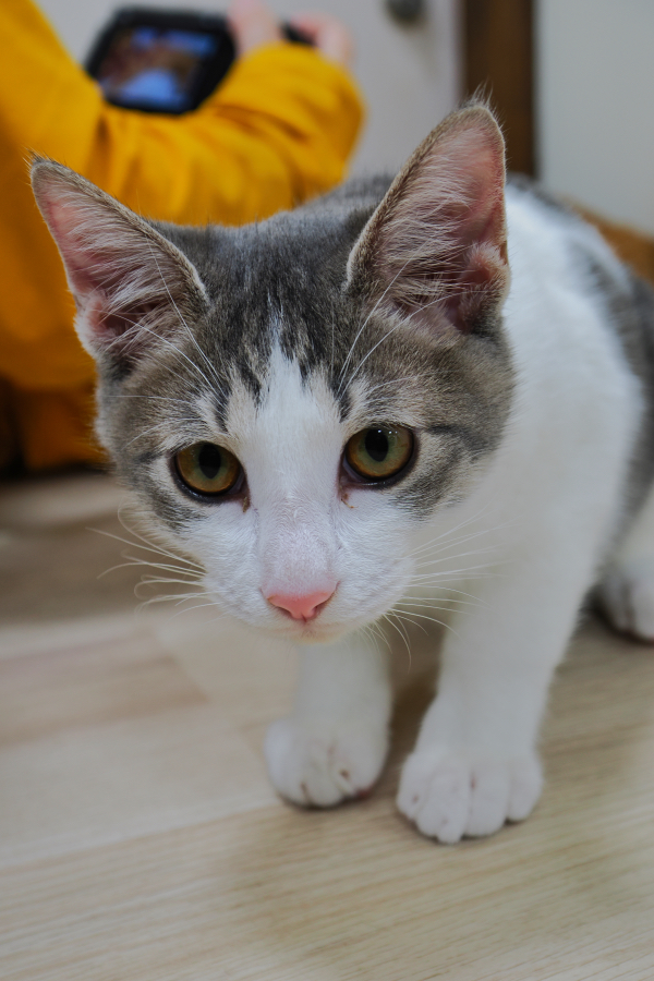 OM SYSTEM OM-3 + M.ZUIKO DIGITAL ED 8-25mm F4.0 PRO