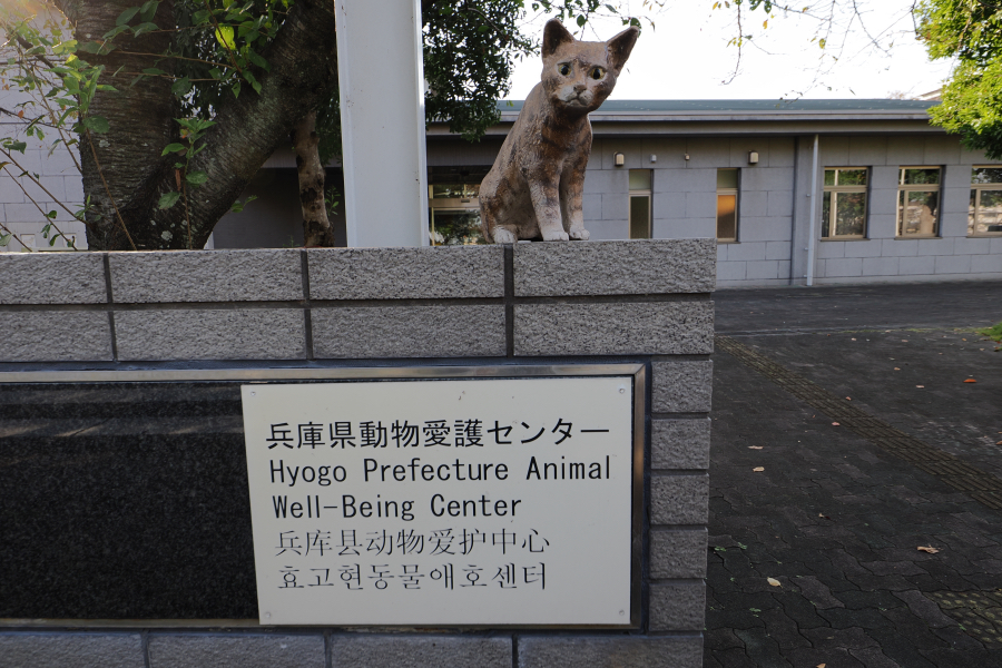 OM SYSTEM OM-3 + M.ZUIKO DIGITAL ED 8-25mm F4.0 PRO