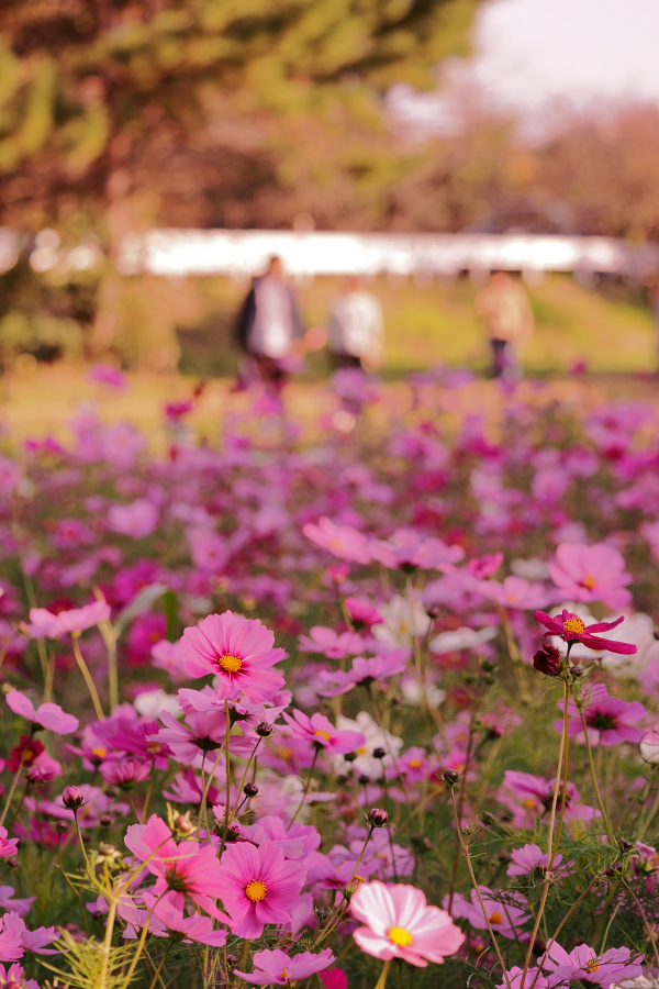 OM SYSTEM OM-3 + M.ZUIKO DIGITAL ED 40-150mm F4.0 PRO