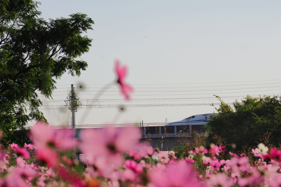 OM SYSTEM OM-3 + M.ZUIKO DIGITAL ED 40-150mm F4.0 PRO