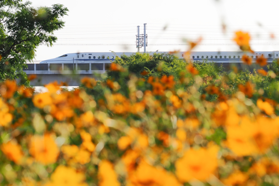 OM SYSTEM OM-3 + M.ZUIKO DIGITAL ED 40-150mm F4.0 PRO