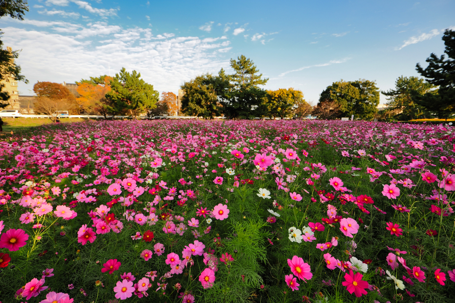 OM SYSTEM OM-3 + M.ZUIKO DIGITAL ED 8-25mm F4.0 PRO