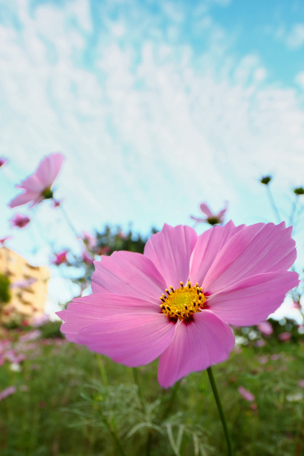 OM SYSTEM OM-3 + M.ZUIKO DIGITAL ED 8-25mm F4.0 PRO