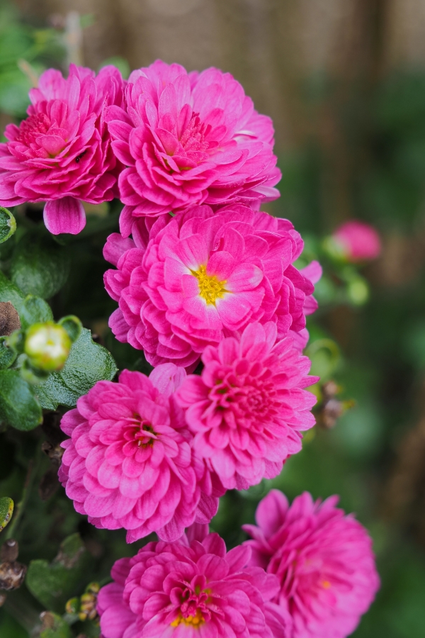 OM SYSTEM OM-5 Mark II + M.ZUIKO DIGITAL ED 12-45mm F4.0 PRO