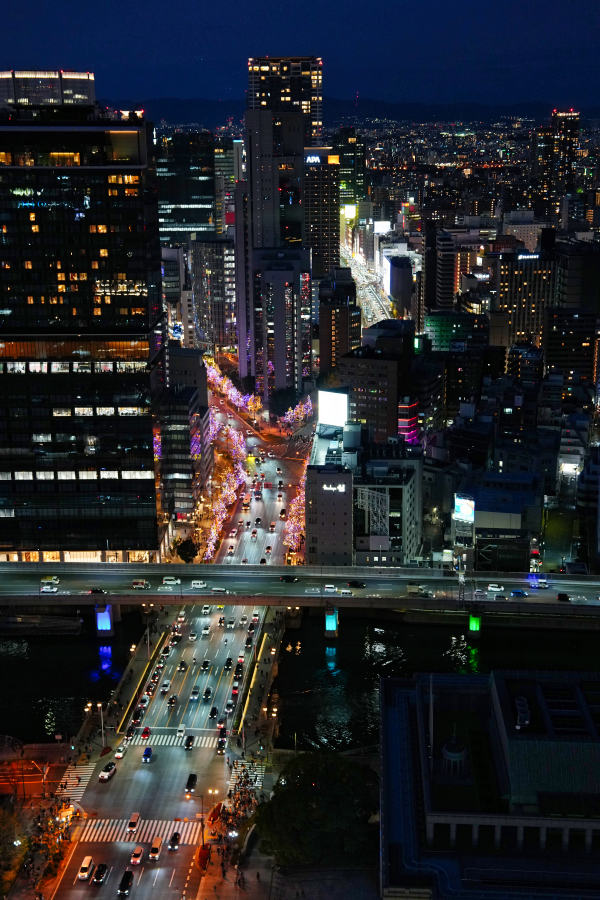 SONY α1 II + FE 24-70mm F2.8 GM II