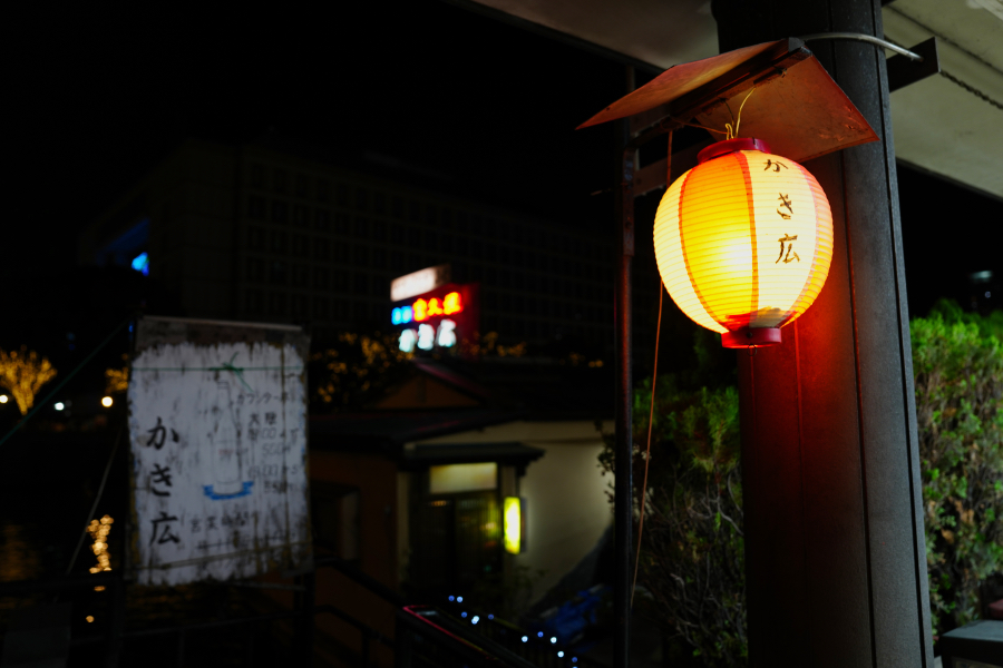 SONY α1 II + FE 24-70mm F2.8 GM II