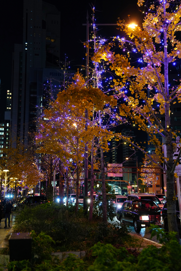 SONY α1 II + FE 24-70mm F2.8 GM II