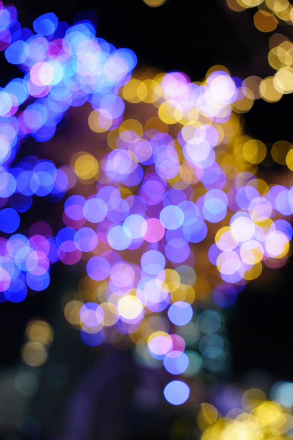 SONY α1 II + FE 24-70mm F2.8 GM II