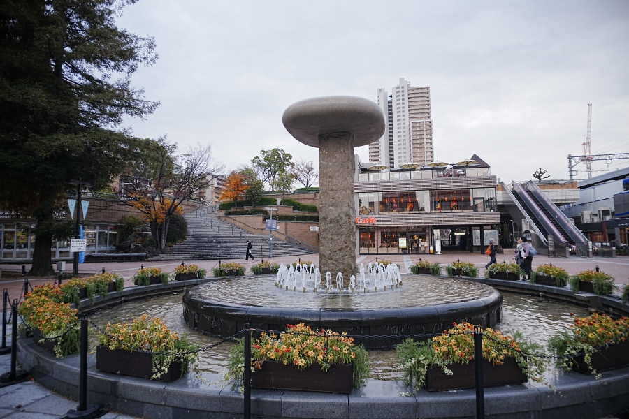 SONY α7CR + SAMYANG Remaster Slim 21mm F3.5