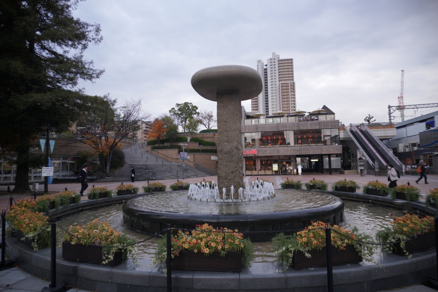 SONY α7CR + SAMYANG Remaster Slim 21mm F3.5