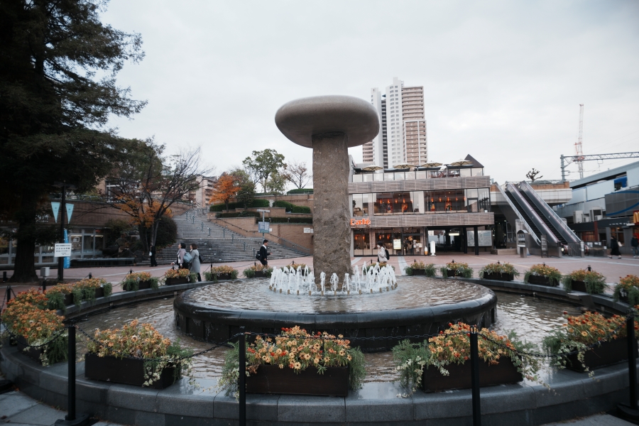 SONY α7CR + SAMYANG Remaster Slim 21mm F3.5