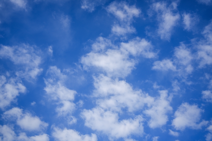 SONY α7CR + FE 35mm F1.8