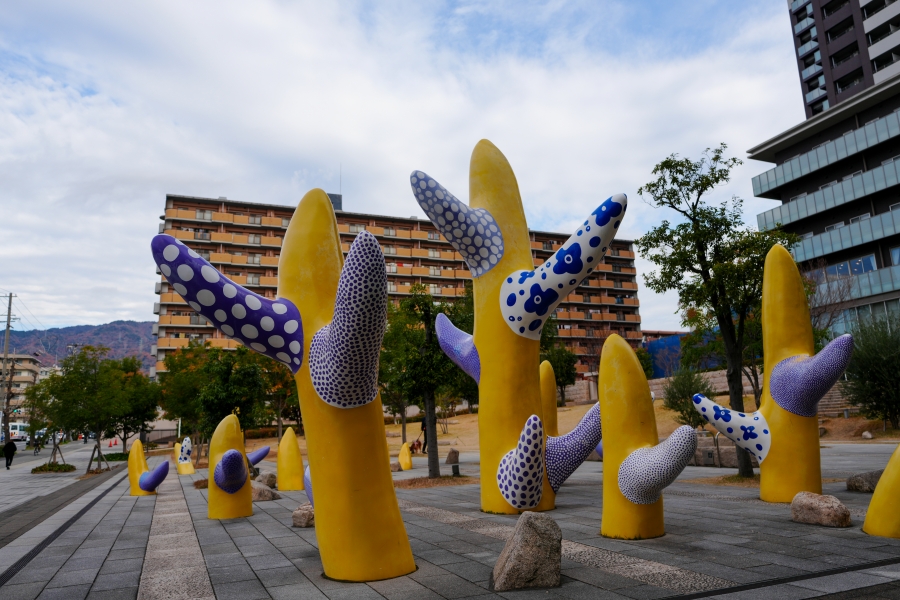 SONY α7CR + FE 24-50mm F2.8 G