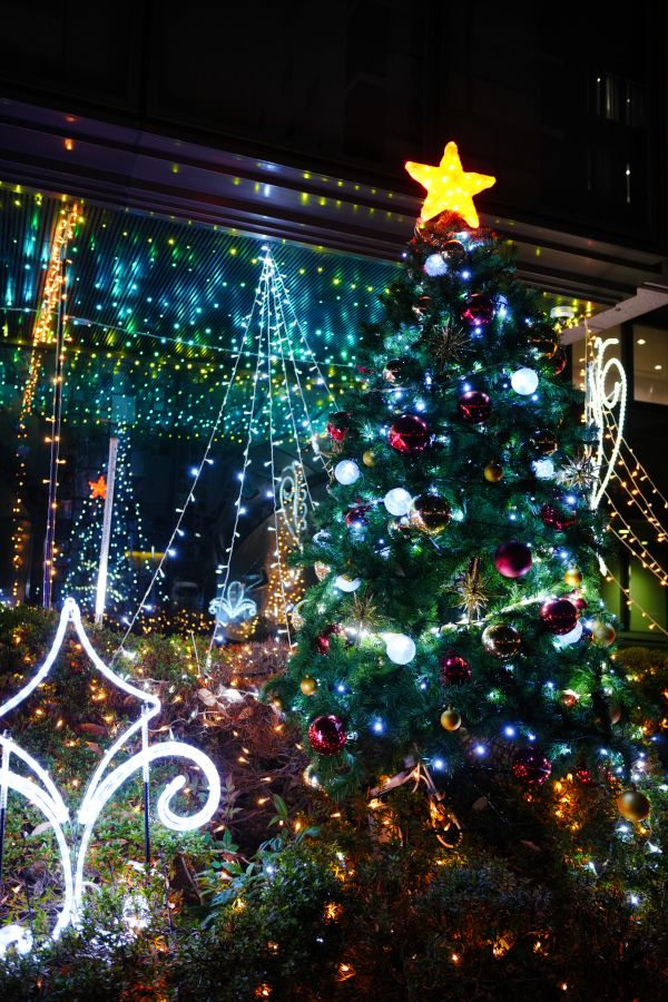 SONY α7CR + SAMYANG Remaster Slim 28mm F3.5