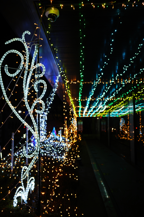 SONY α7CR + SAMYANG Remaster Slim 28mm F3.5