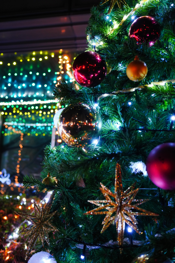 SONY α7CR + SAMYANG Remaster Slim 28mm F3.5