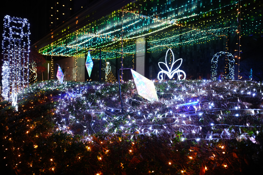 SONY α7CR + SAMYANG Remaster Slim 28mm F3.5