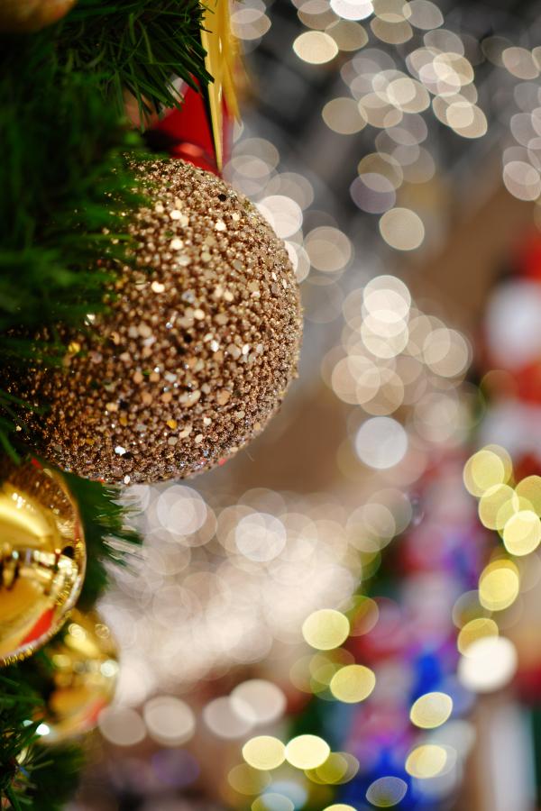 SONY α7CR + FE 40mm F2.5 G