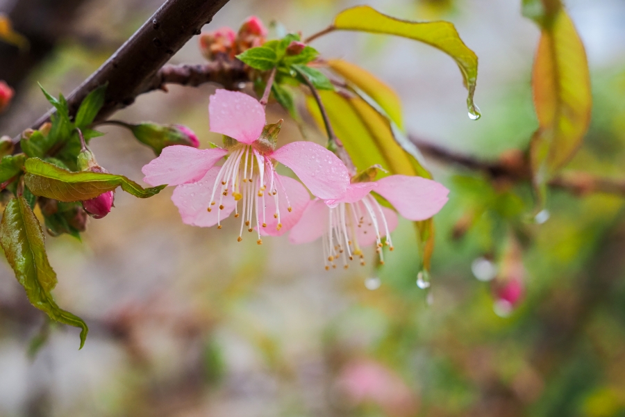 OM SYSTEM OM-5 Mark II + M.ZUIKO DIGITAL ED 12-45mm F4.0 PRO