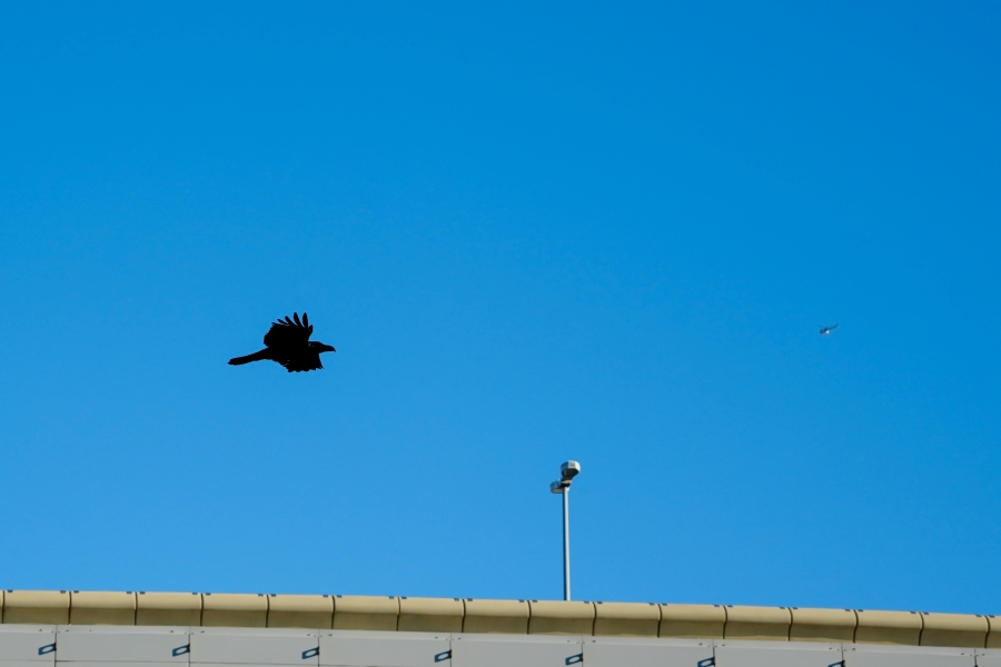 SONY α1 II + TAMRON 25-200mm F/2.8-5.6 Di III VXD