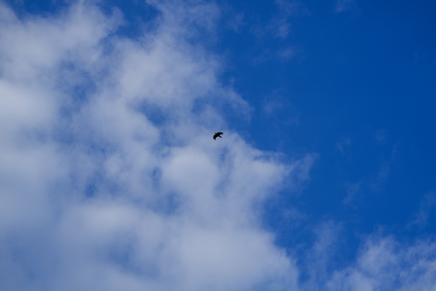 SONY α7CR + FE 24-70mm F2.8 GM II