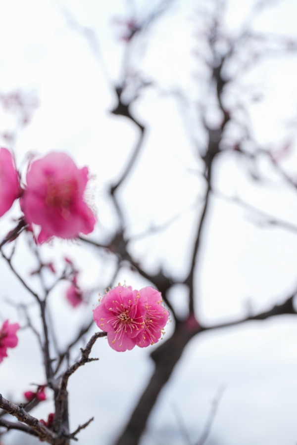 SONY α7CR + FE 16-35mm F4 G