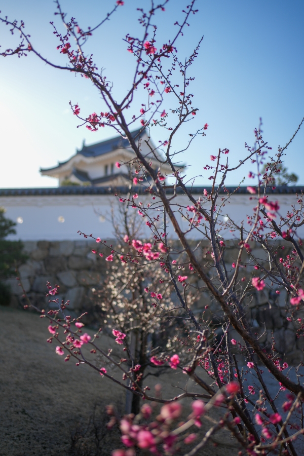 SONY α7CR + FE 35mm F1.8