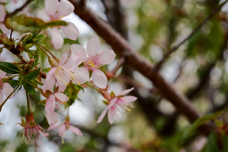 OM SYSTEM OM-3 + M.ZUIKO DIGITAL ED 12-45mm F4 PRO