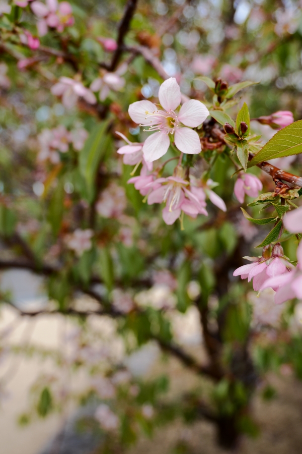 OM SYSTEM OM-3 + M.ZUIKO DIGITAL ED 12-45mm F4 PRO