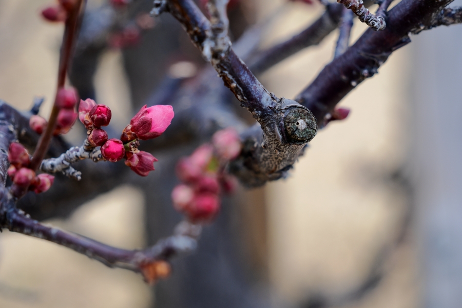 OM SYSTEM OM-3 + M.ZUIKO DIGITAL ED 12-45mm F4 PRO