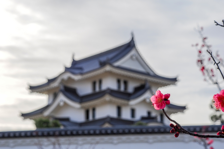 OM SYSTEM OM-3 + M.ZUIKO DIGITAL ED 40-150mm F4.0 PRO