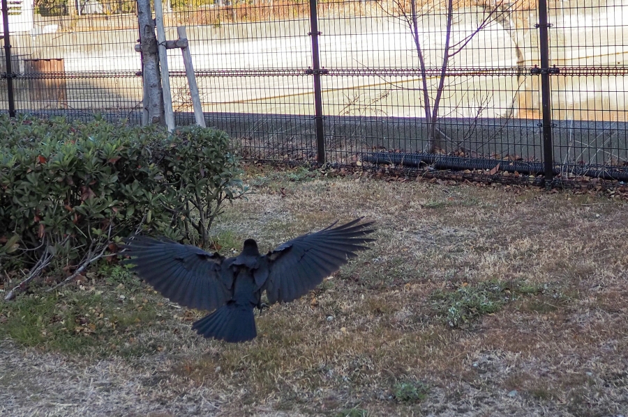 OM SYSTEM OM-5 Mark II + LUMIX G 14mm F2.5 II ASPH